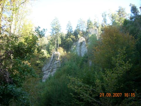 DSCN0712